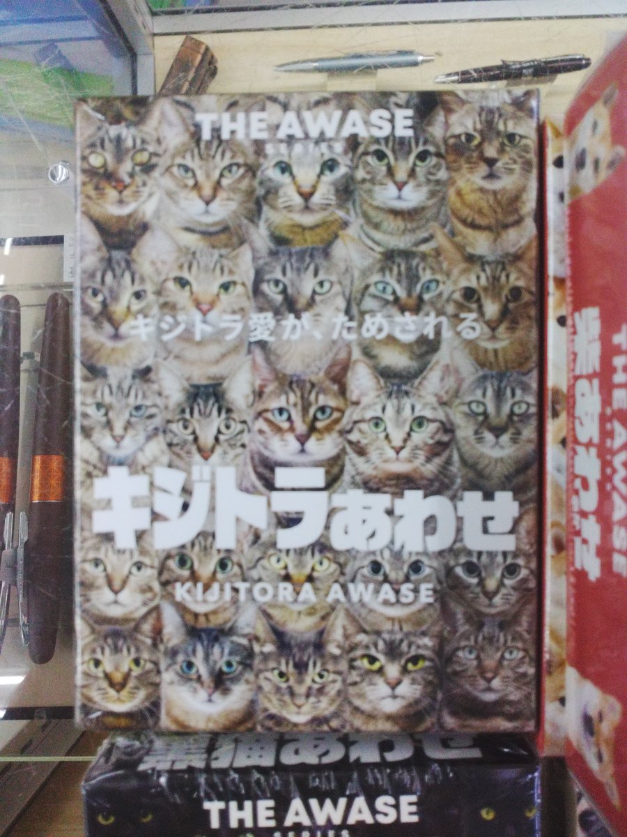 seibunkantoyoak's tweet photo. 愛が試される「黒猫あわせ」「キジトラあわせ」が入荷しました。そっくりな動物たちから正しいペアを見つける神経衰弱ゲームです。他にも「柴あわせ」「ポメ��わせ」「パグあわせ」など色々あります。 https://t.co/LnBJJWuGXe