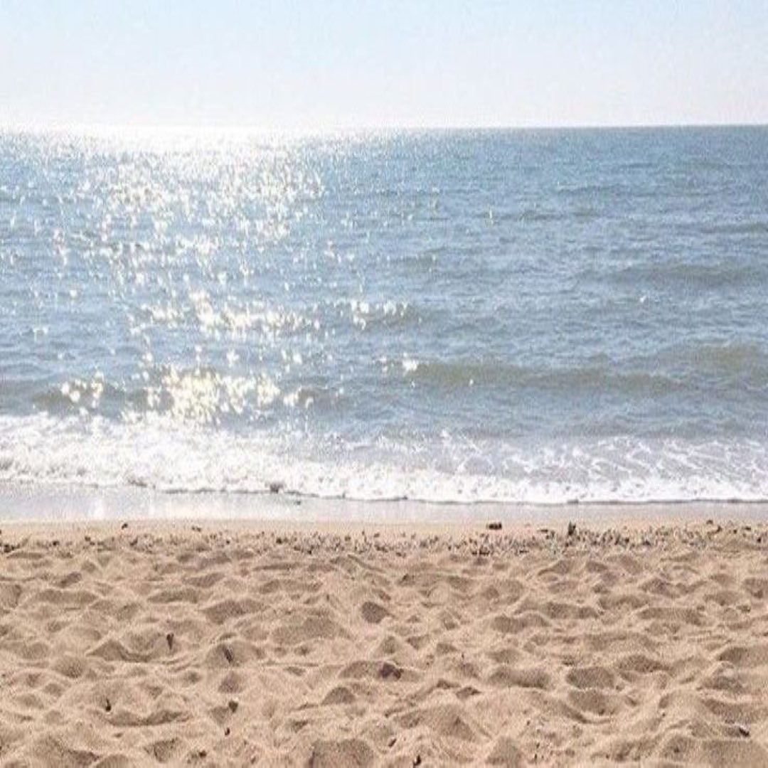 beachbruises's tweet photo. ⠀♱ Julian ꒰১ ໒꒱
He /they (ᵕ—ᴗ—)
   🐶     ⋆˚꩜｡ּ  pan ᛝ
   ♡ノ↻ to be oomfs
     #nsfwtwt #dom #owner 
#degradation https://t.co/mScT7Xsj4P