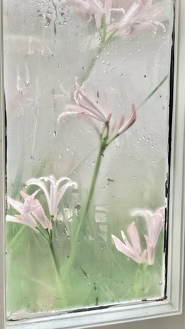 RyleighBecmgoi's tweet photo. 朝起きて、身体が重い。連休明けで疲れが溜まってる。休みの日はのんびりしたから、急に普段のペースに戻るのはきついなぁ。 https://t.co/DdGWN1DB8Y