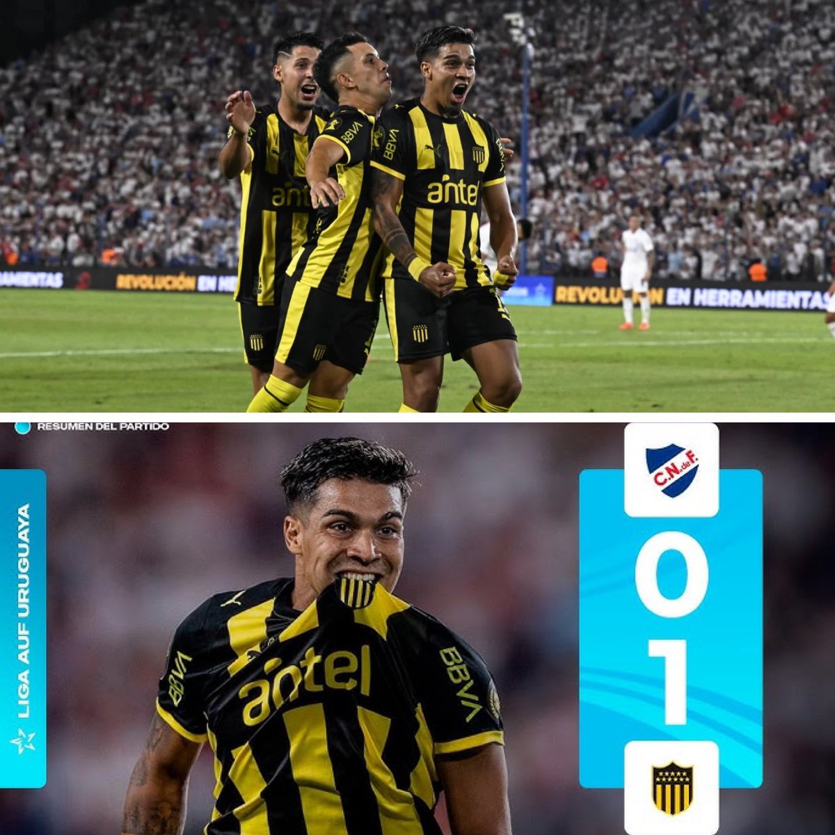 LodeonCAP's tweet photo. Este plantelito de Peñarol plagado de lesiones hoy les saco 14 puntos de ventaja en la anual (en la cancha) !
Les ganó una final de Supercopa con un banco de suplentes indecente, para cerrar te garchó en el gallinero y rajaron a su técnico.

SOS BIEN GALLINA Y PROSTITUTA ! https://t.co/BKgzr1rWe1