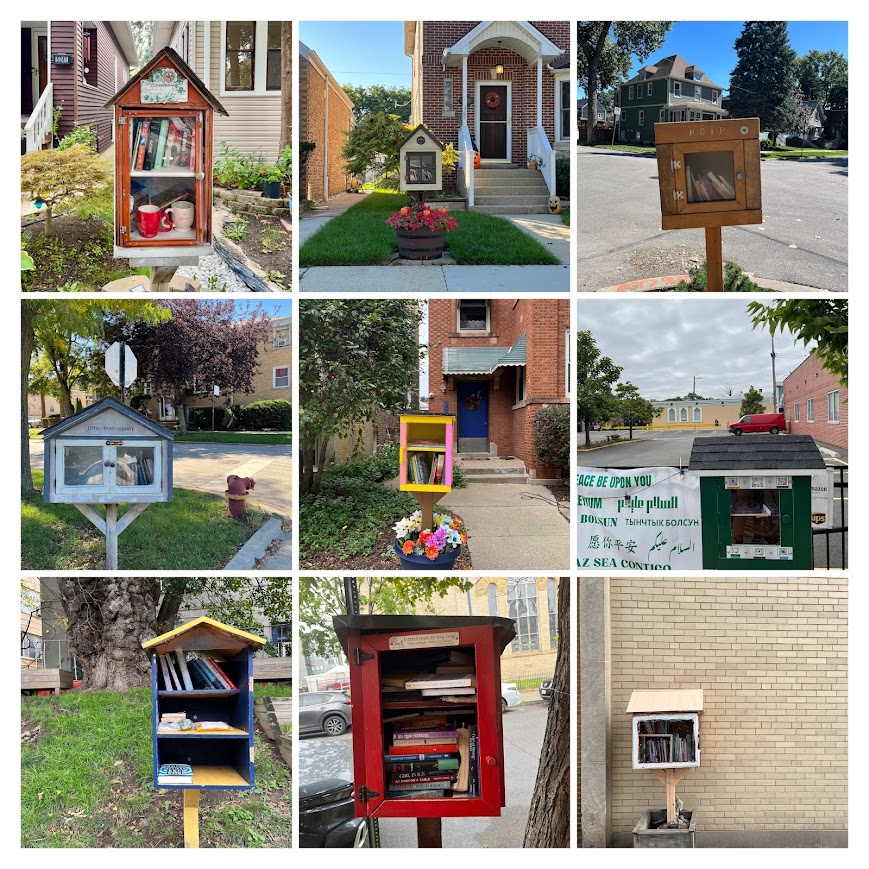 MttCarmichael's tweet photo. little libraries of chicago 🤘 https://t.co/yQpOs1tih8