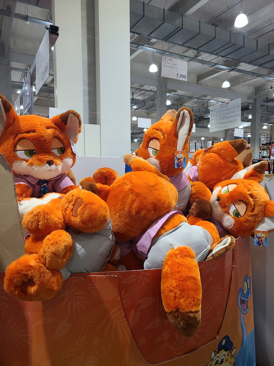 KatsudonKaitlyn's tweet photo. costco japan! https://t.co/cDglk4Q3vz