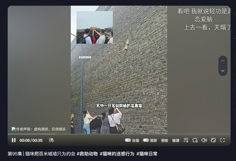 PIKAQIU_8888's tweet photo. 在抖音上发现一只为了爱最不要命的猫

叫做——三月
非常有意思 结合了 恋爱+城墙+救助 三个概念

三月为了去约会
爬了一座百米高的城墙去赴约

这简直太meme了
百米城墙拦不住一只想谈恋爱的猫
完全就是 猫+恋爱+不要命 的完美结合
抖音：
https://t.co/jjNWjlaB4S https://t.co/yMm2JRDakn