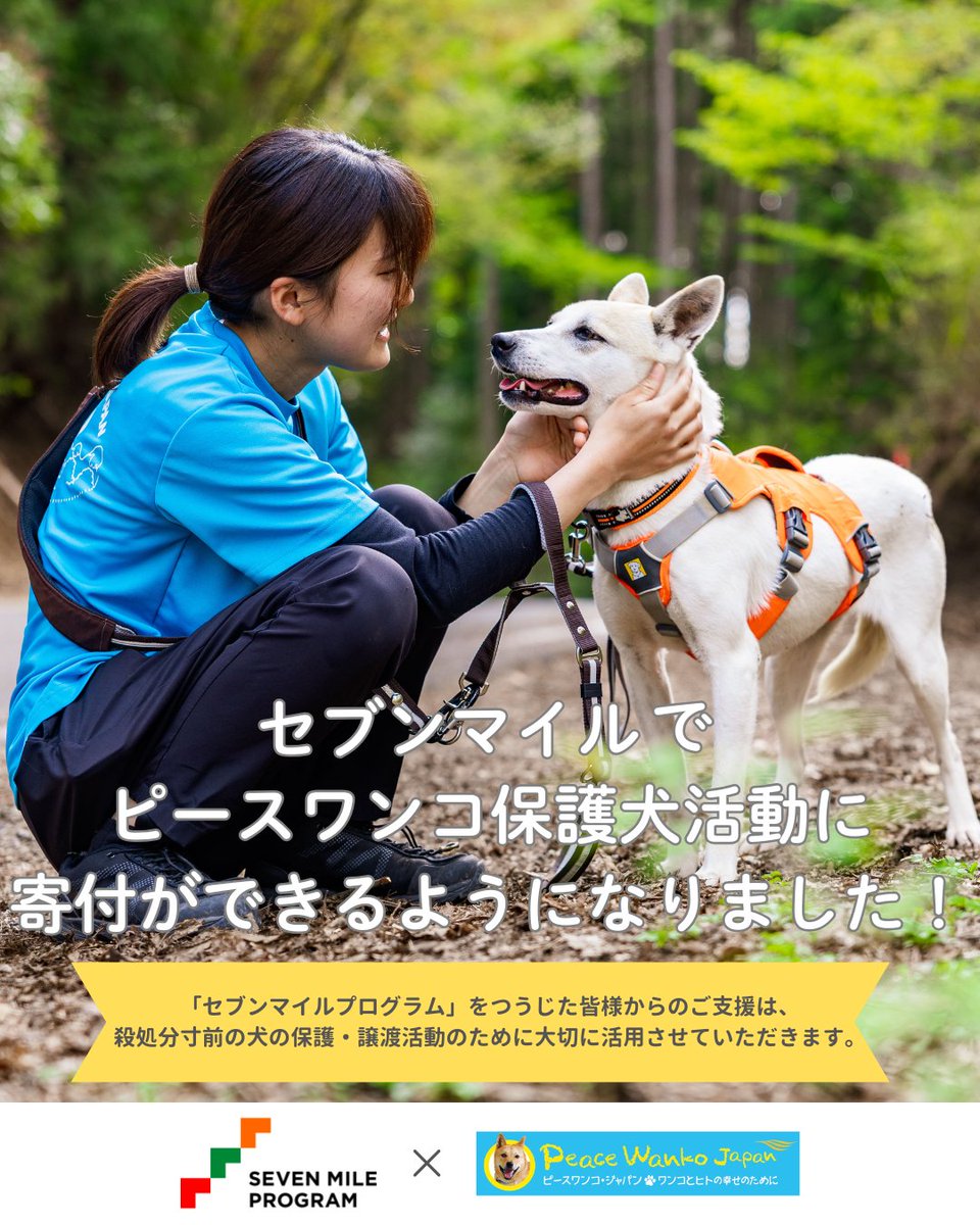 PeaceWankoJapan's tweet photo. セブン＆アイ・ホールディングスとピースワンコジャパンが提携し、[セブンマイルプログラム]で10マイルから保護犬たちを応援できます✨
あなたのマイルが、ワンコたちの未来に繋がります🐕‍🦺💕
https://t.co/n2EqLB0UdN https://t.co/YdDnuqGvsu