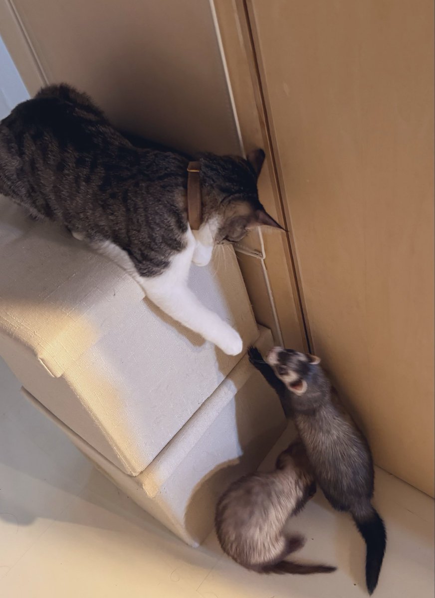 JUGEjuge1's tweet photo. チョチョイ https://t.co/UG9mpVt8MG