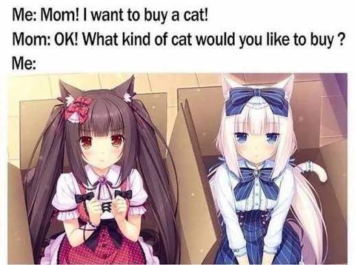 pawfaitsu's tweet photo. lets go back in time! https://t.co/OJpxdwfwog