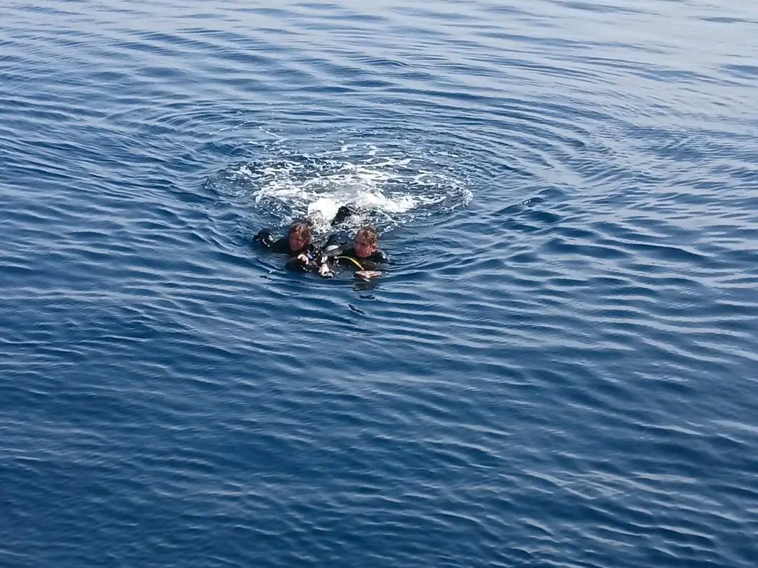 NaraSenyap's tweet photo. Update Opsar H ke-2 
3 Penyelam yg Sebelumnya Terpisah dan  Hilang saat Diving di Perairan Pulau Pangabatang, Kabupaten Sikka, NTT, ditemukan dalam keadaan Selamat oleh Tim Sar Gabungan pada Senin pagi (5/10) sekitar pukul 09.10 WITA https://t.co/j4bGTzN4A4