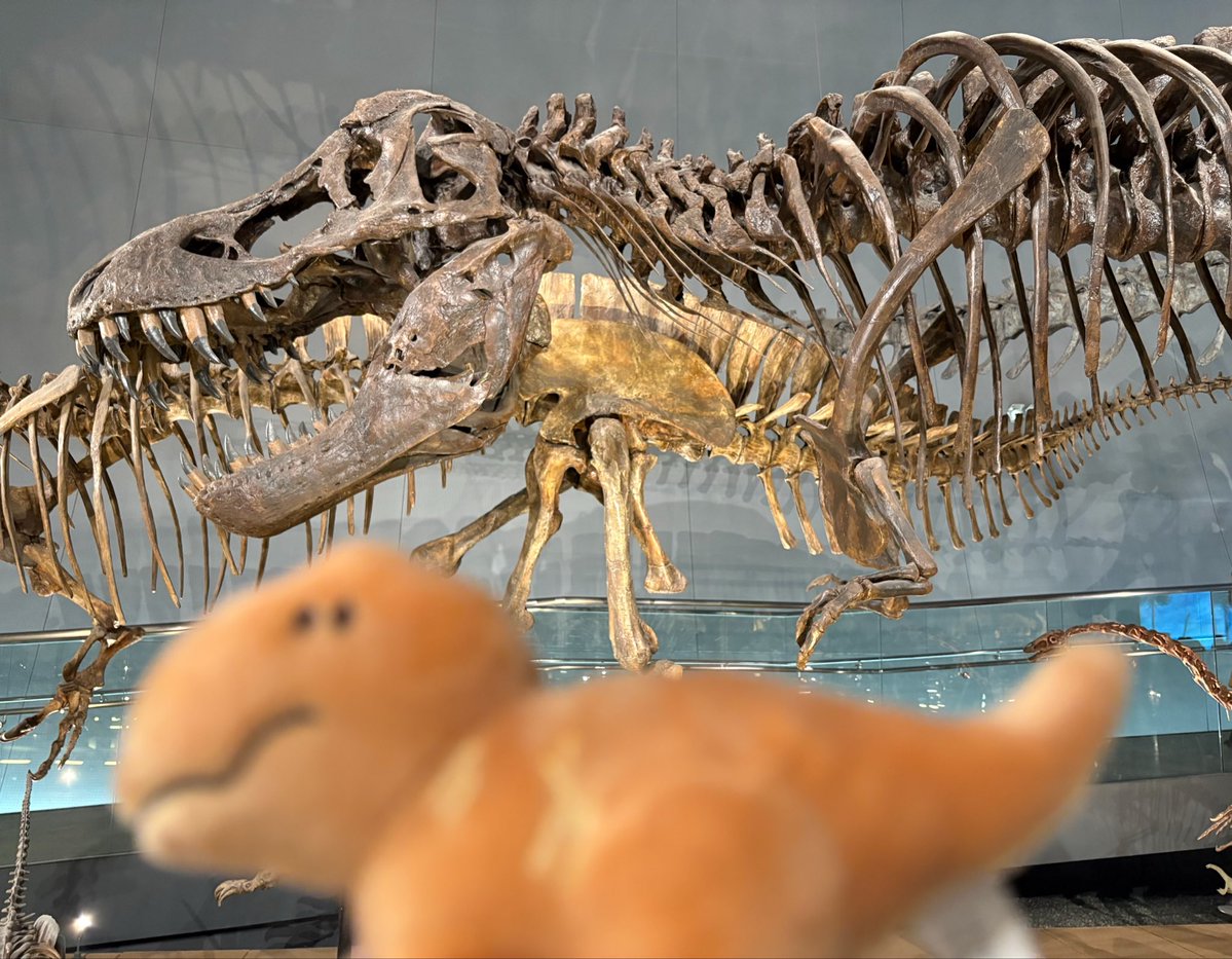 Wataru_Nis's tweet photo. 🦖 https://t.co/dBu71VwJAE