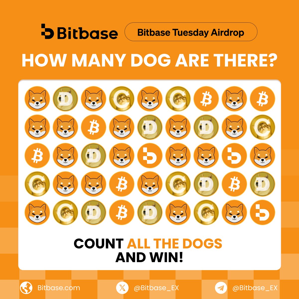 Bitbase_Ex's tweet photo. 🐶 #BitbaseTuesdayAirdrop | Spot the Dogs & Win!

How many dogs can you find in the grid? Drop your exact number below to win! 🔍

👇 How to Enter:
1️⃣ Follow @Bitbase_EX + Like + RT
3️⃣ Comment your answer + #BitbaseGems

💰 Prize: 3 winners x 50 USDT Bonus each!
⏱️ Deadline: Oct 9, 23:59 (UTC)