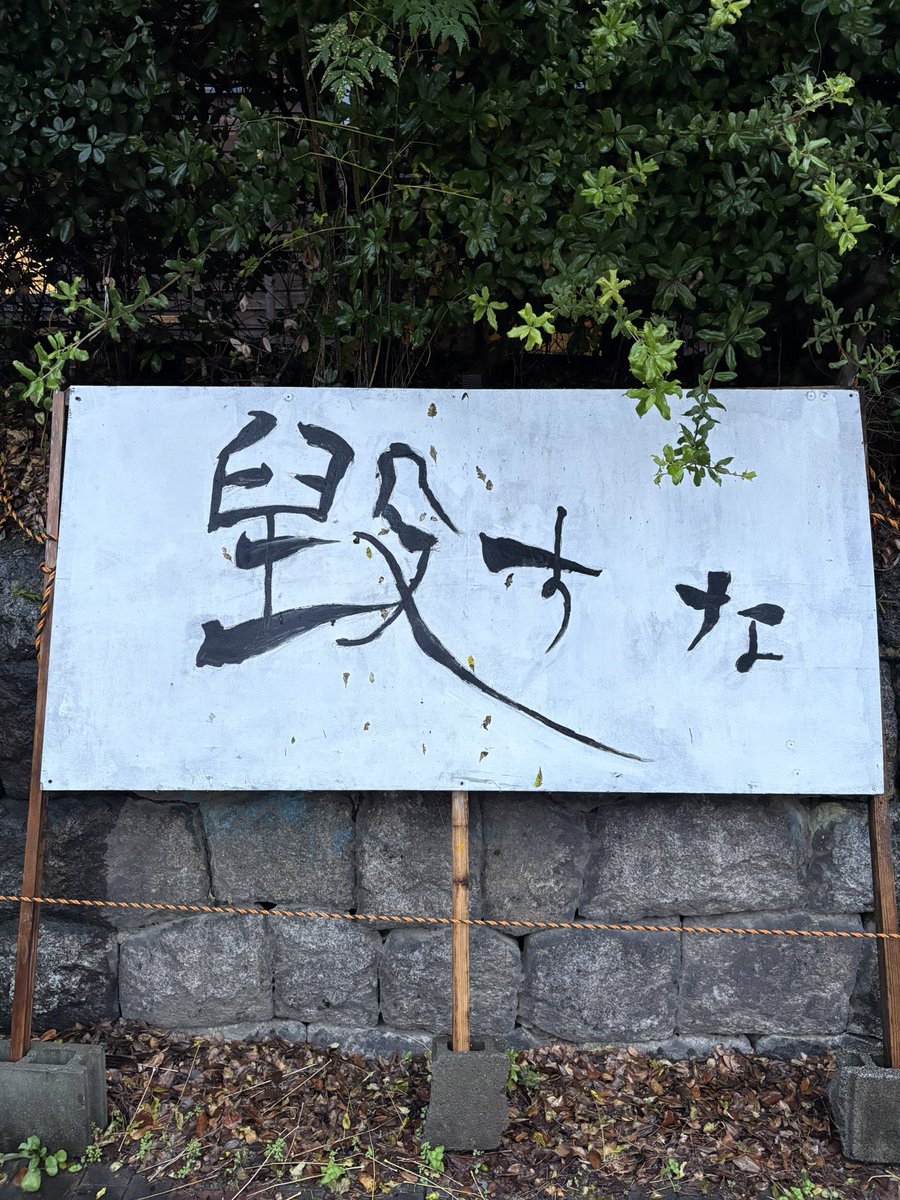 iiii_sub's tweet photo. 京都観光 https://t.co/rcsjUIsseM