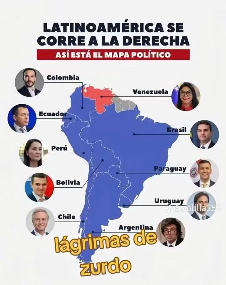 marce_amalia's tweet photo. Para los zurdos con mucho mucho amor.. https://t.co/gPdVBltpOm