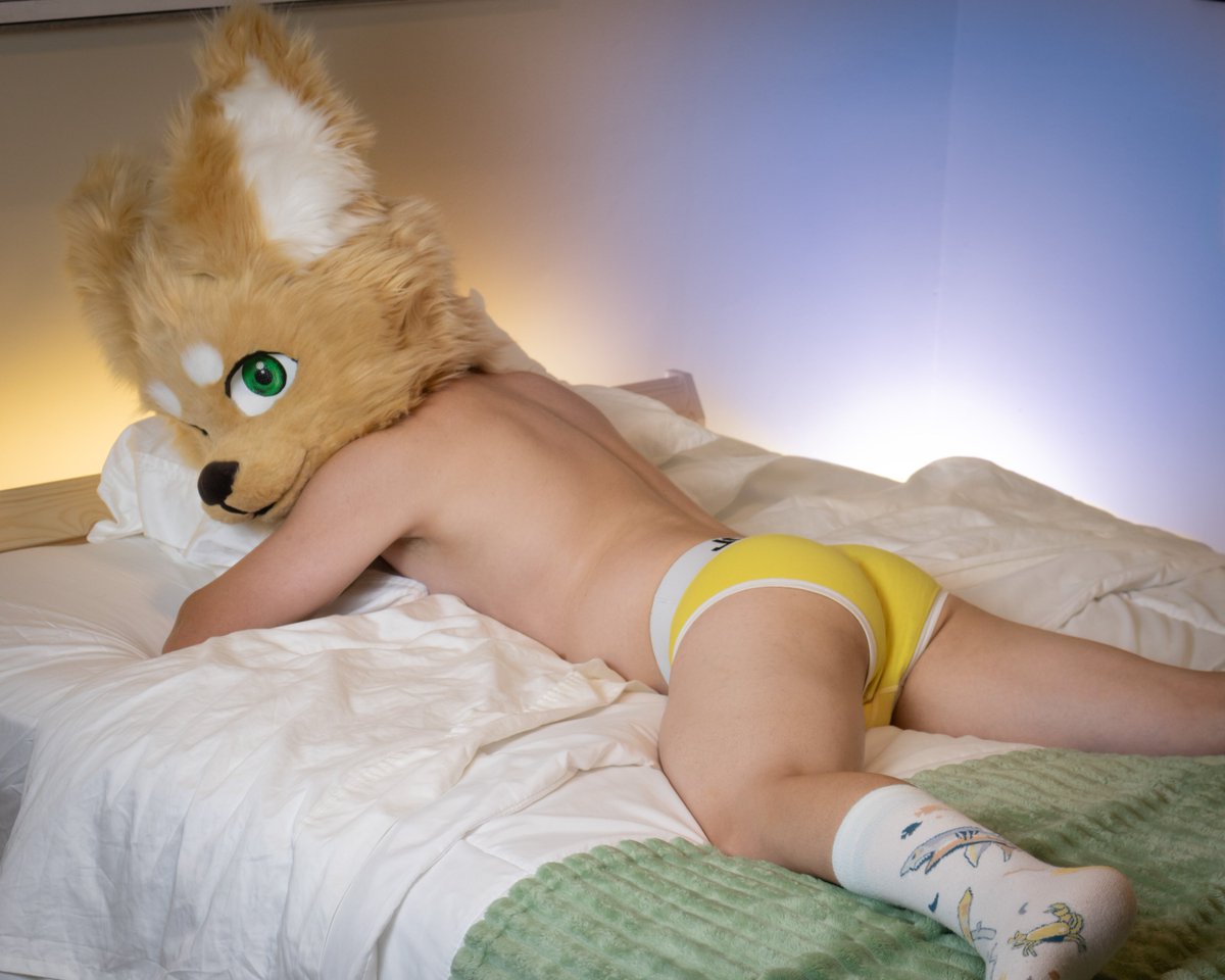 strixy_AD's tweet photo. >you walk into your bedroom
>see this
>what do? https://t.co/0fSXMxTY9e