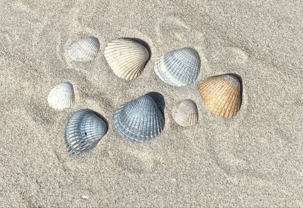 seainpoem's tweet photo. https://t.co/EcIA5gXMpk