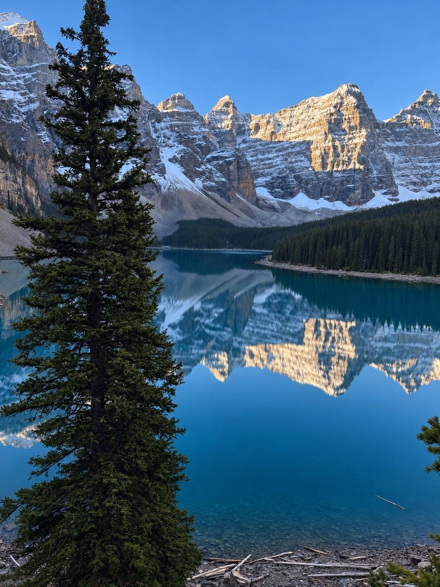 naturebeauty760 tweet picture