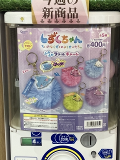gashacoco 公式X（本部）の入荷情報の写真