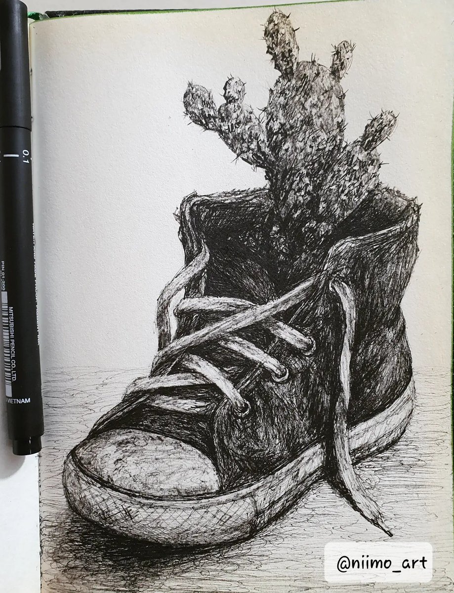 niimo_art's tweet photo. #Inktober - Cactus https://t.co/ZOGpZtySsb
