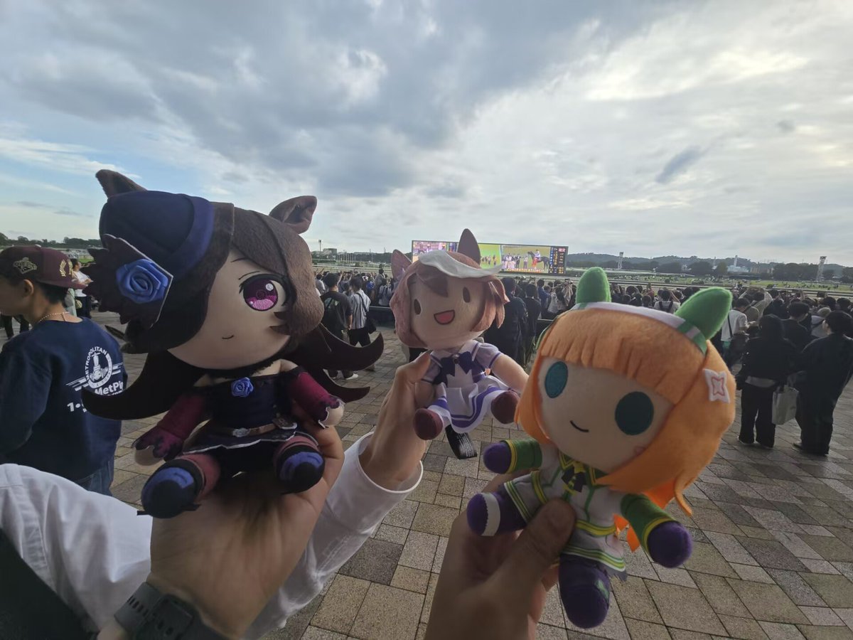 miotyann01's tweet photo. 今年、いいえ、近年一番楽しい週末かも https://t.co/iC2FpIUAto