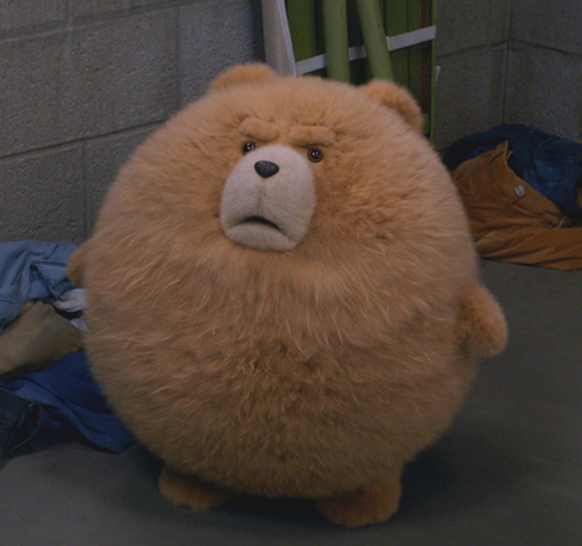 m4ckncheese's tweet photo. they should make this specific ted an actual plush https://t.co/Q3tzsHoKd0