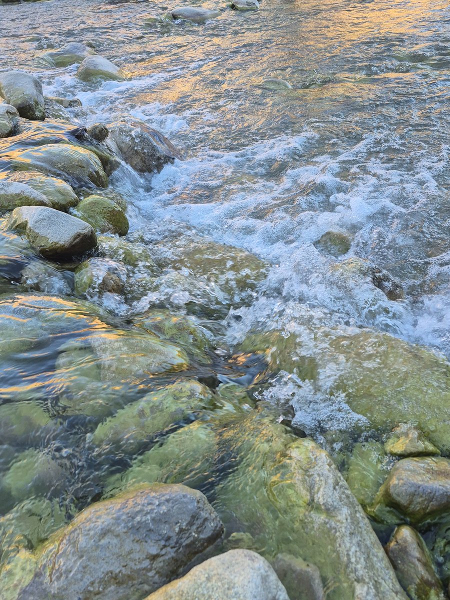 KatKiliko1648's tweet photo. Went to the lake today
Here's the images I took
(Also there was a bee in the lake that was still alive to I bright it to a dry rock to dry off, I think they're fine now since they flew off after a few minutes) https://t.co/2jCXFmMmmv