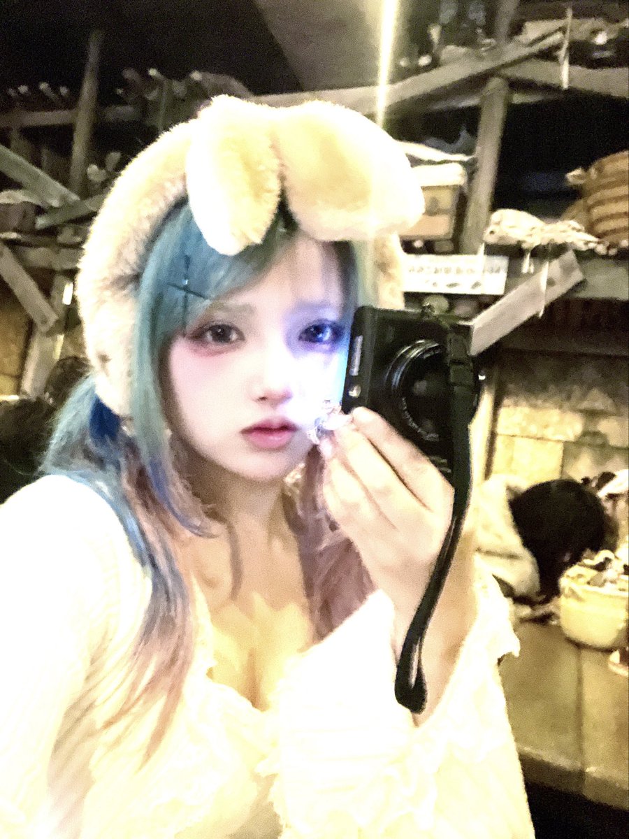 ol_pyonpyon's tweet photo. まよいもの？📷⟡.·*. https://t.co/yLMpYVZZQc