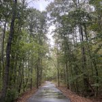 Photo by seraphina (@hearthkeeping)
