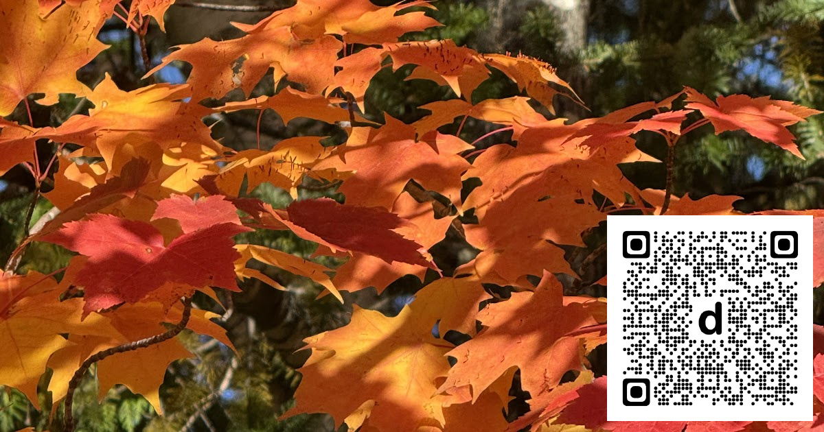 wyvernsrose's tweet photo. Fall Color real-psychiatry.blogspot.com/2026/10/fall-color.html #associations #autumn #fall https://t.co/vrkk6aQcc2