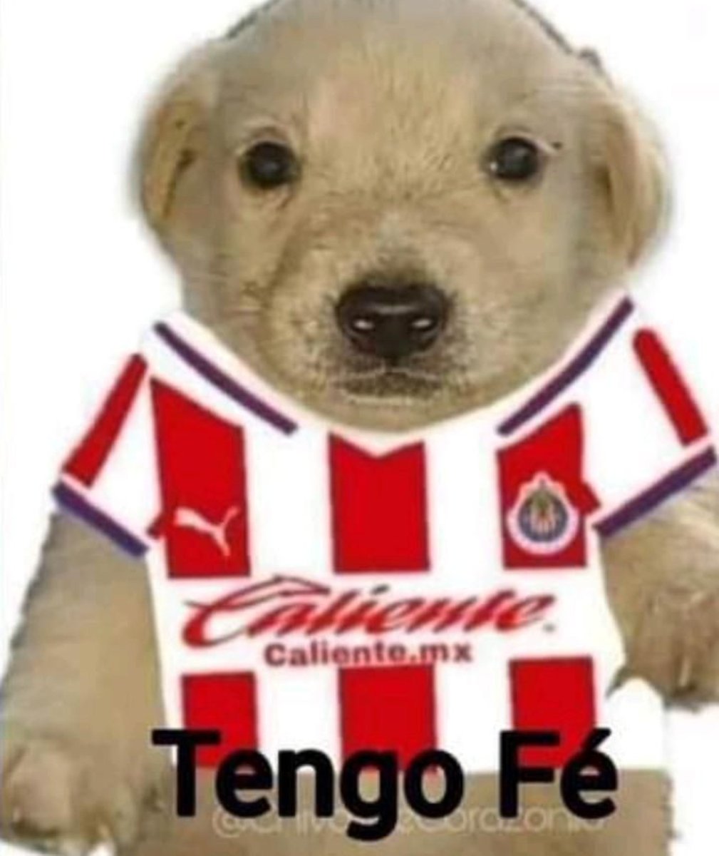 hibislia's tweet photo. YA ME ILUSIONARON MIS CHIVOTAS https://t.co/1uniA5STat