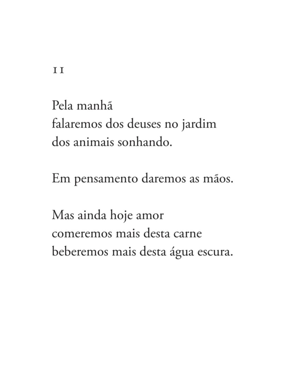 leaodelucerna's tweet photo. https://t.co/FaniMlLHZy