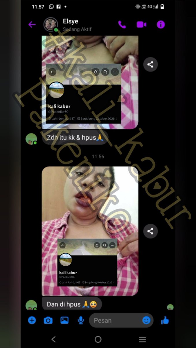 Paceniko60's tweet photo. Tinggal di kampung pobaim

Video sama foto ada. 
Yg mau, DM barter. https://t.co/xzdMxuf7Ki