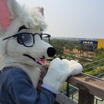 Photo by YCH DOG (@Wonivero)