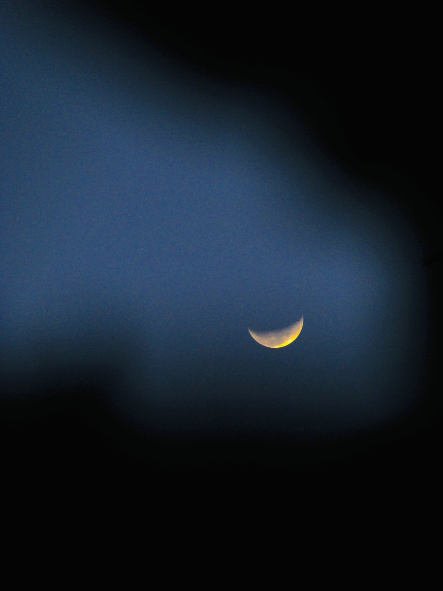 mansebanjaran's tweet photo. moon and birds https://t.co/Rwal9ubbyN