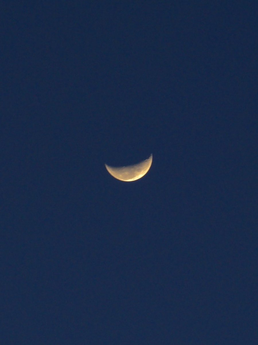 mansebanjaran's tweet photo. moon and birds https://t.co/Rwal9ubbyN