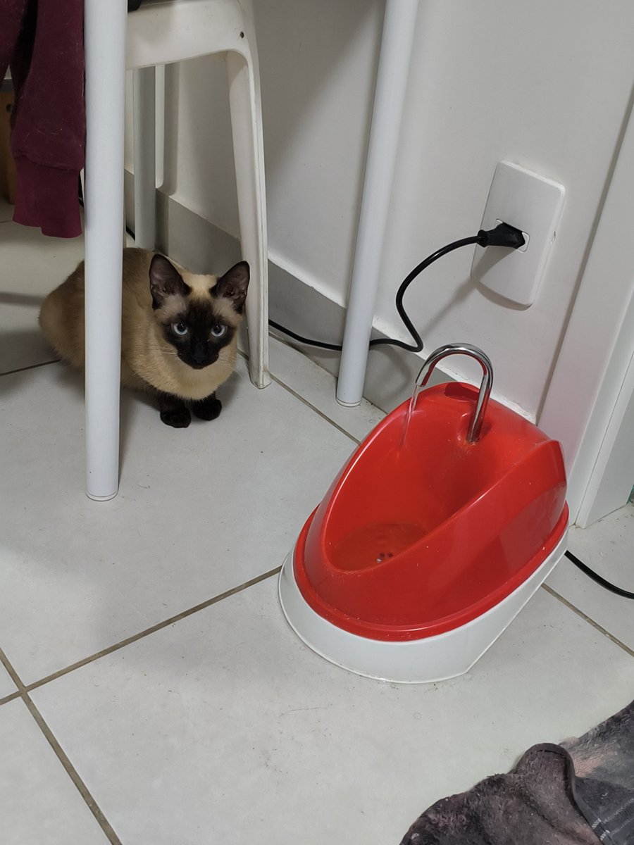 usuariodepolo's tweet photo. Eu querendo acabar meu copo de cerveja e ela enchendo o meu saco pra dormir https://t.co/y932rhkVL8
