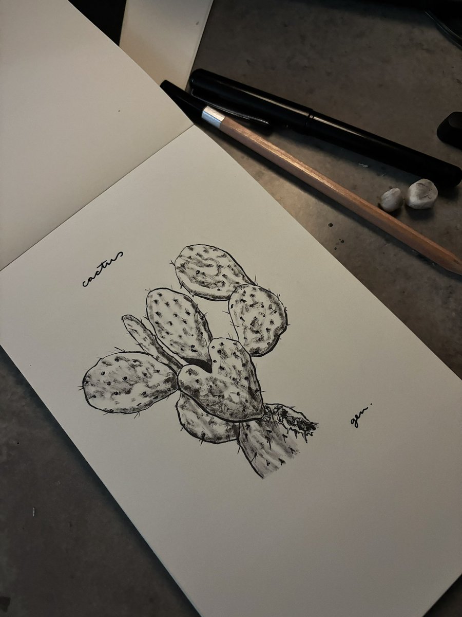 hernandez_gen's tweet photo. Cactus

#inktober2026 https://t.co/4jD5fwHVLy
