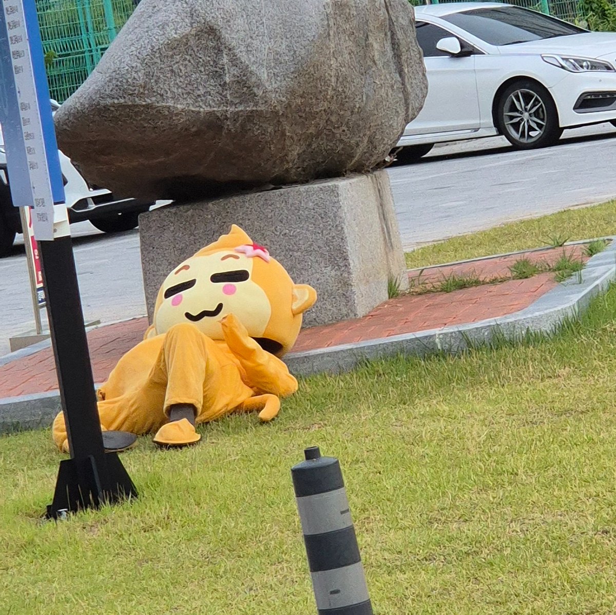 Hyuhim0's tweet photo. #경북여고의자랑
#인형탈교장쌤 https://t.co/YHIM5bl7qb