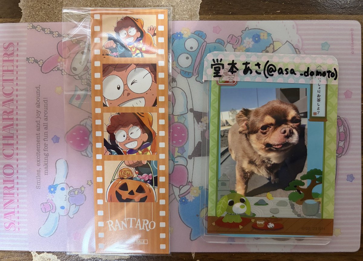 asa_domoto's tweet photo. 忍たま トリップ オア スウィートの段 特典 交換

譲 猪名寺乱太郎

求 土井半助 時友四郎兵衛 富松作兵衛 いずれか

郵送のみ📮

ご気軽にお声かけください https://t.co/CHUC5LiRPK