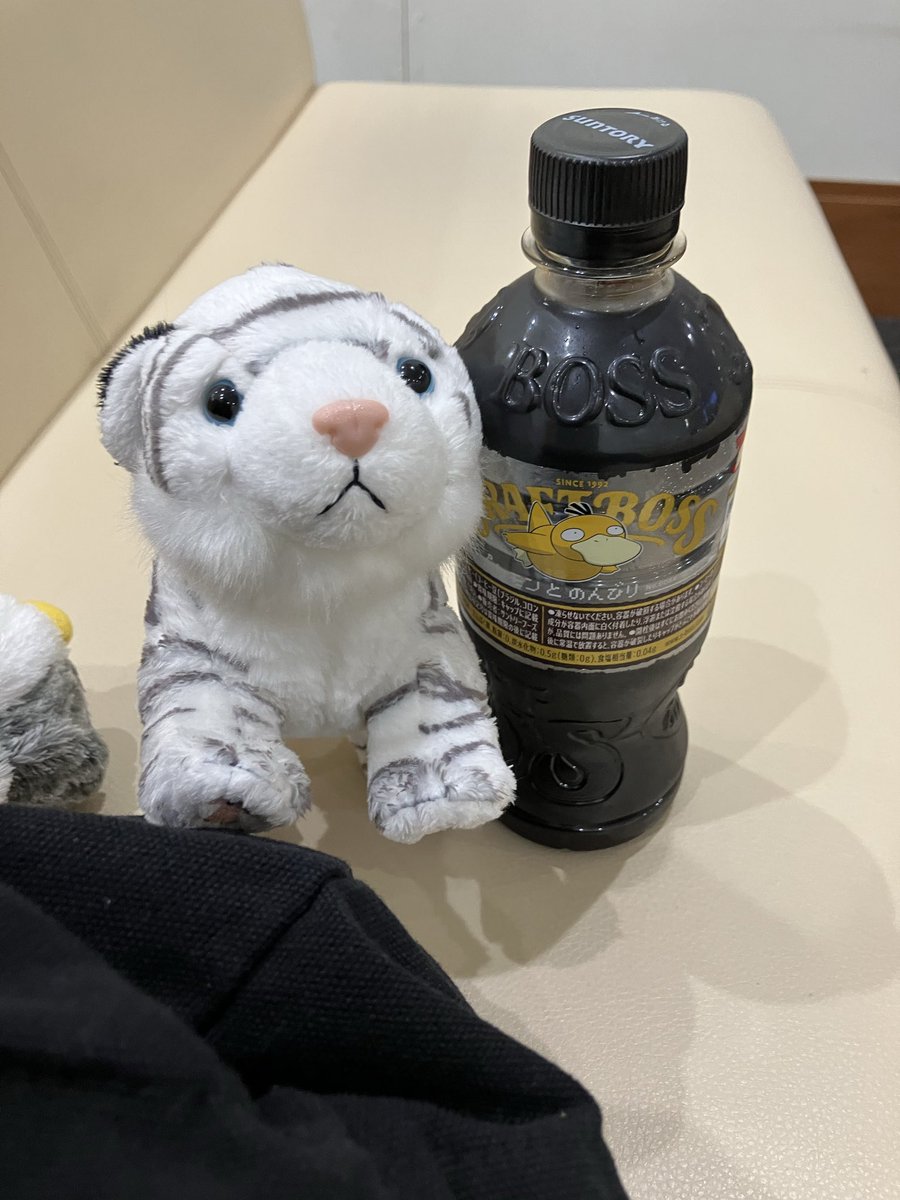 113Mercury's tweet photo. 待ち時間が長くて、ルーク🐯🤍とちょっと休憩🏥
コダックのコ��ヒーかわええ https://t.co/jiVfsq1bCJ