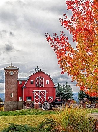 PhryneTiny's tweet photo. Date: Take me to Green Bluff when the leaves are turning. We’ll pick apples, buy far too many pumpkin donuts and choose the most ridiculous pumpkin we can find. You drive, I’ll handle the snacks
#pnw #washington #seattle #petite #Fall #Halloween https://t.co/X53tVEpZLM