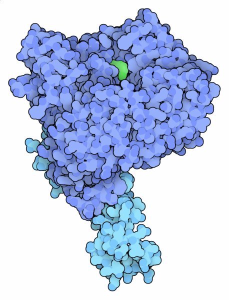 dr_robinmalloy's tweet photo. MIKRO UND MAKRO 🩸🧬🦠🧫🧪🌍🪐
Auxin and TIR1 Ubiquitin Ligase
The plant hormone auxin controls growth and response to light and gravity.
https://t.co/OZ7nrSI8Qi
#Nature #cells #Neuroscience
#brain #kosmos #Creation
#quantum #mind #Biochemistry
#proteins https://t.co/wAFjHEobf7