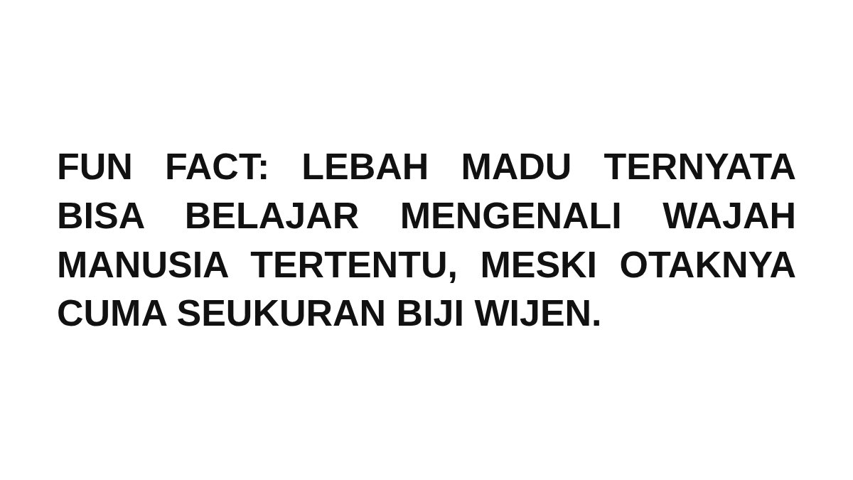 GigitFakta's tweet photo. https://t.co/O5GtxUMopa