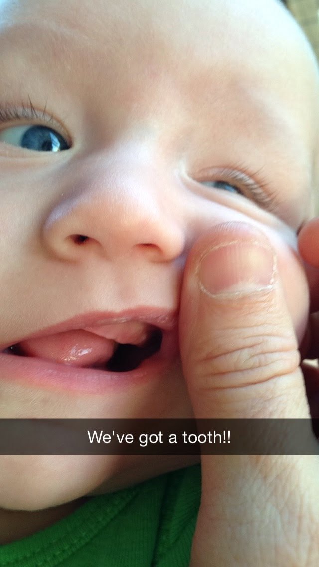 joni_kennedy's tweet photo. 10-04-26 Unexpected. 11 years ago today, William got his first tooth #OctoberPhotoChallenge #PhotoOfTheDay #photochallenge #octoberchallenge #autumn #fall #October2026 #happylife #photoadaychallenge2026 #OctoberpumpkinsbringNovemberturkeys @expertphotography https://t.co/TiF10NbaSN