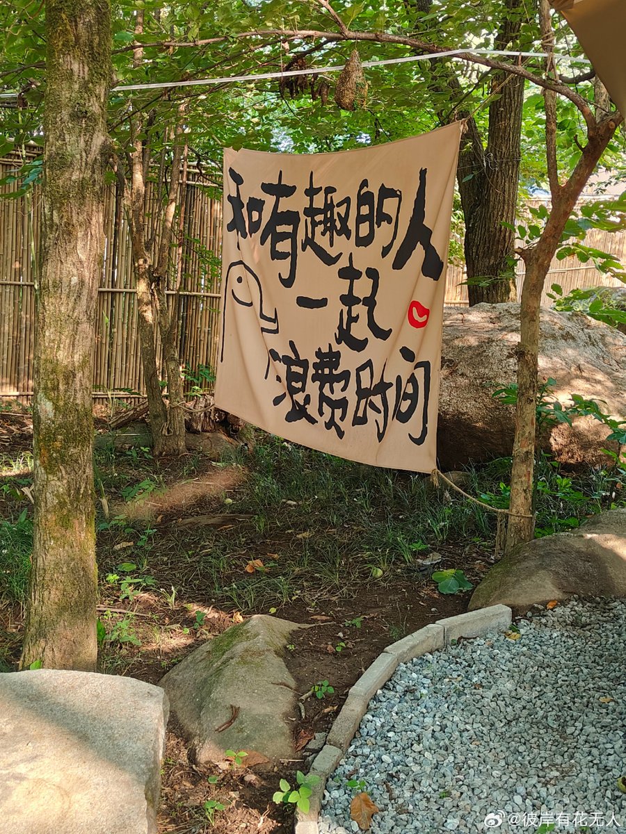 EmmaGuzman82vd's tweet photo. [Just a fun little adventure, no need to overthink—always down for the "跋堵寻" vibes!]， https://t.co/bm6rW06Tqa