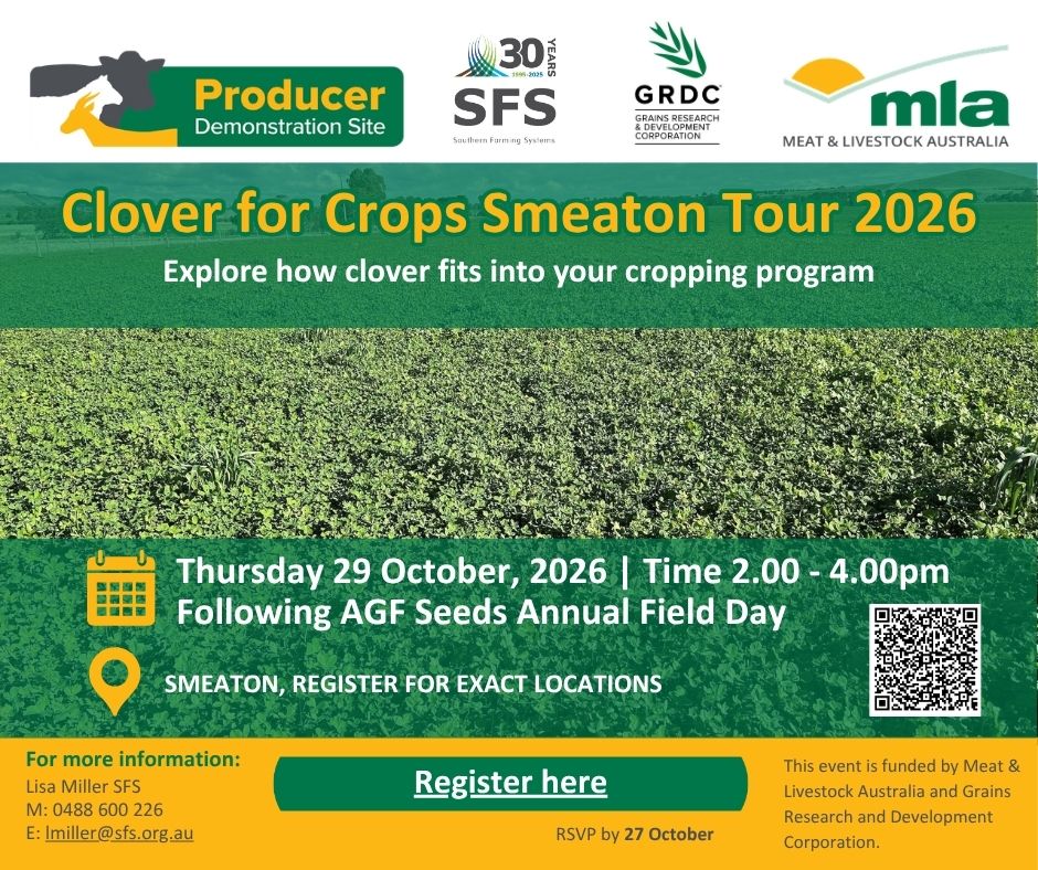 SouthernFS's tweet photo. 🌱 Join the Clover for Crops Smeaton Tour on 29 Oct.
See Persian & Arrowleaf clovers in action, including clover sown with canola and a second-year Persian clover paddock. Learn how clover can support nitrogen inputs in cropping systems.
🔗 https://t.co/qKnHzotIwg
@AGF_Seeds 
 #Cropping #SFS