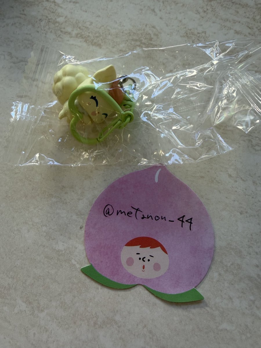 metanon_44's tweet photo. @yp__ho__18 検索より失礼致します。
メップルとの交換探しておりお声掛け致しました。

ナッツ優先かと存じますが
ココ所持しております。
郵送交換検討頂けますとうれしいです。

よろしくお願いいたします。 https://t.co/AJEJCL3q8g