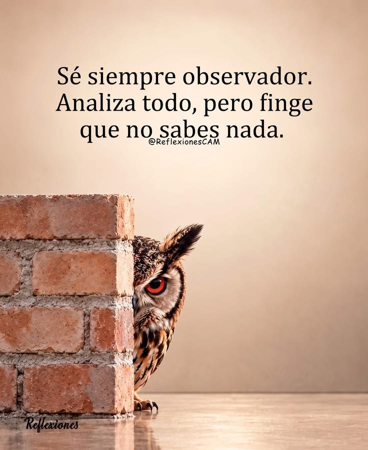 carher0663's tweet photo. Alerta siempre https://t.co/Du1FiqOtkN