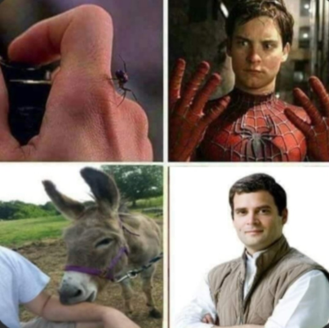 memer4x's tweet photo. This was how rahul gandhi was made https://t.co/Cm5eYUHaYE