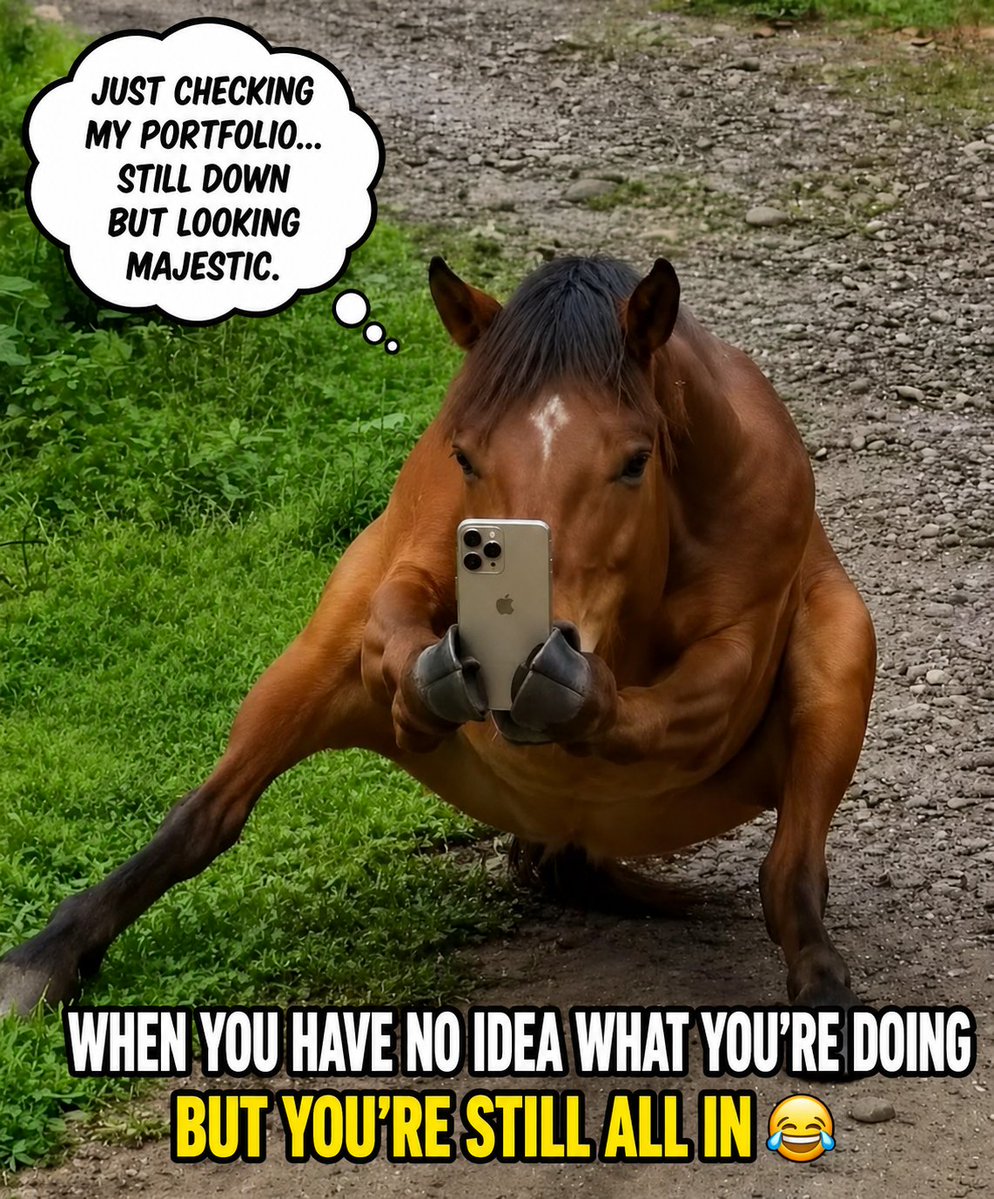 CROUCHINGHORSE's tweet photo. https://t.co/scH4bwOoDT