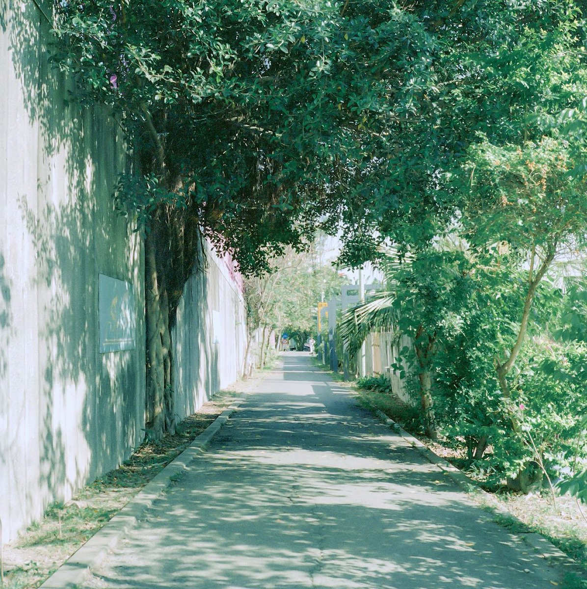 Maguhe4's tweet photo. 今日のとこは無いわ…初めて来たのに、何がどこにあるかわからんのに。ベーカリーさせられて、説明書見てやってと。食材も調味料も無いのにどうやれと？教えられんのならタイミー呼ぶな! https://t.co/7MO7DQL3sc