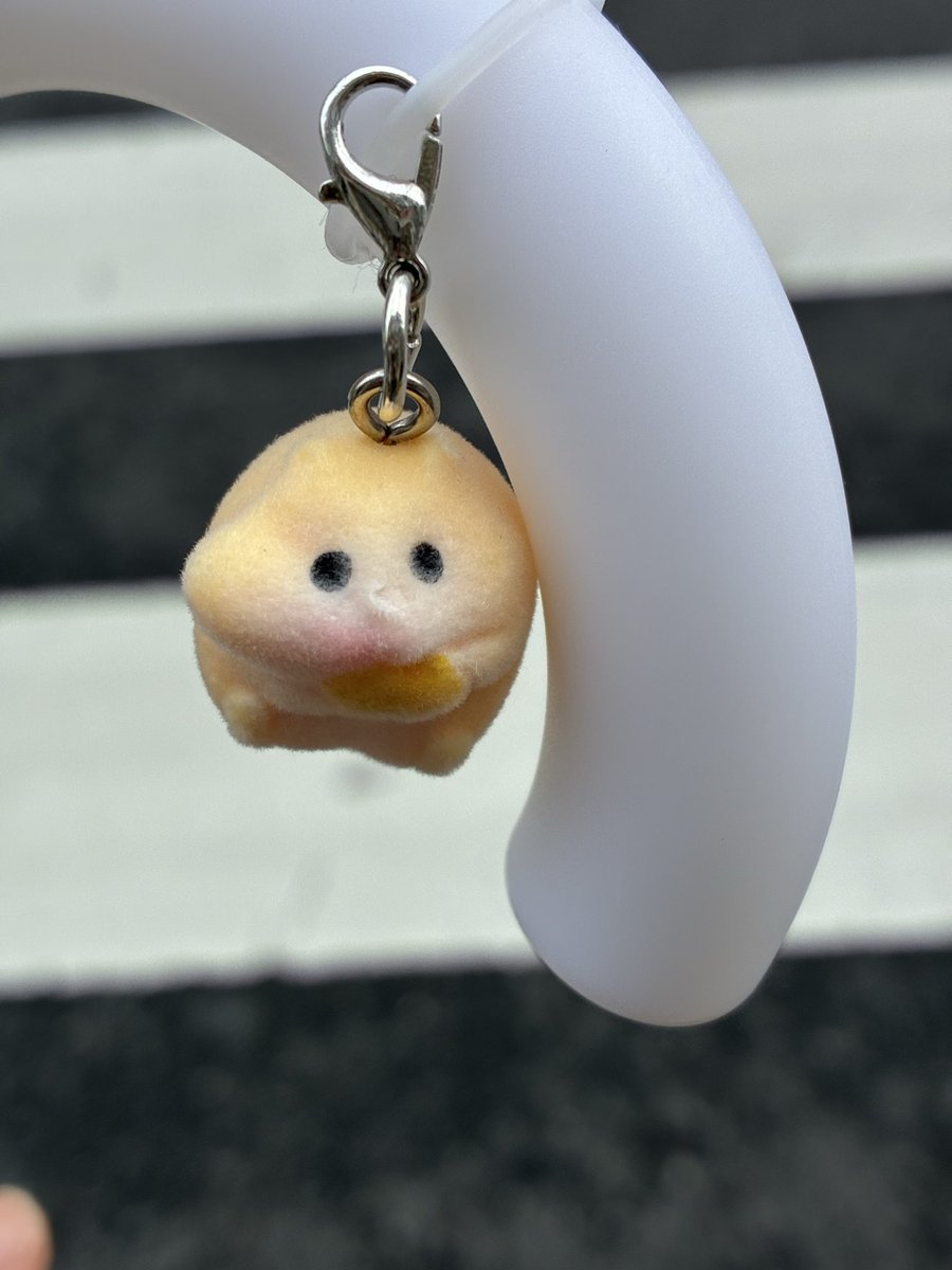 RosNeko's tweet photo. 袋開けてみたら鼻削れてたwwもういいもんね。
お姉さん優しいので返品とか言わないです。 https://t.co/jCaZ2482Kj