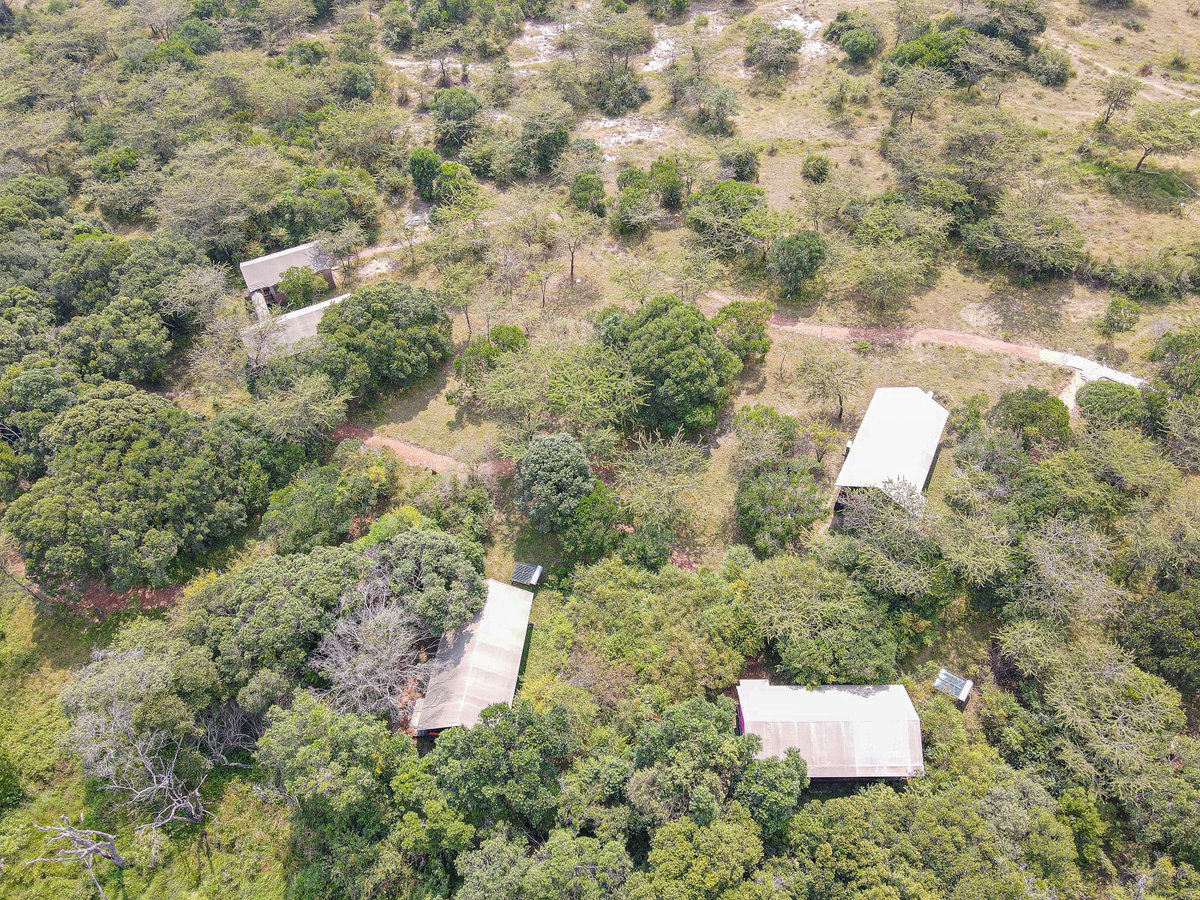 CampCastel's tweet photo. A new week begins in the heart of the wild.
Fresh views, open skies, and the promise of new adventures — Monday looks better from here.

Here’s to a week filled with peace, adventure, and unforgettable moments at Castel Mara.

Book (+254) 0758955220
https://t.co/WeUE3LDOWk https://t.co/5oGsX5Zl9l